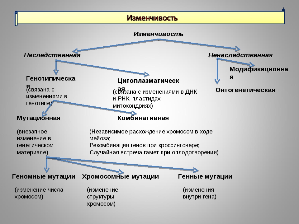 Отсутствие генетического родства выполнение различных функций единый план строения егэ