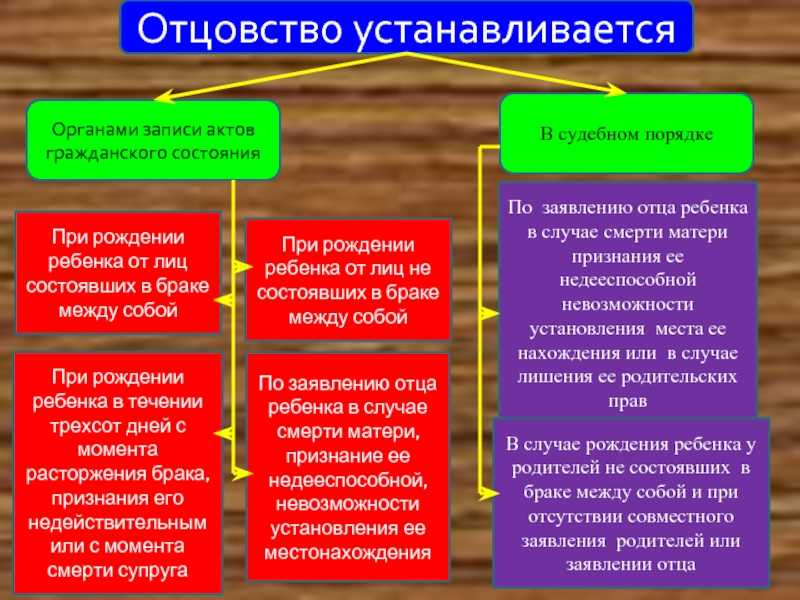 Установление отцовства в судебном порядке презентация