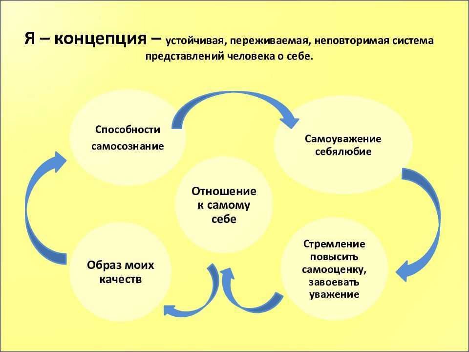 Человек формирует свой взгляд на мир свою картину мира егэ