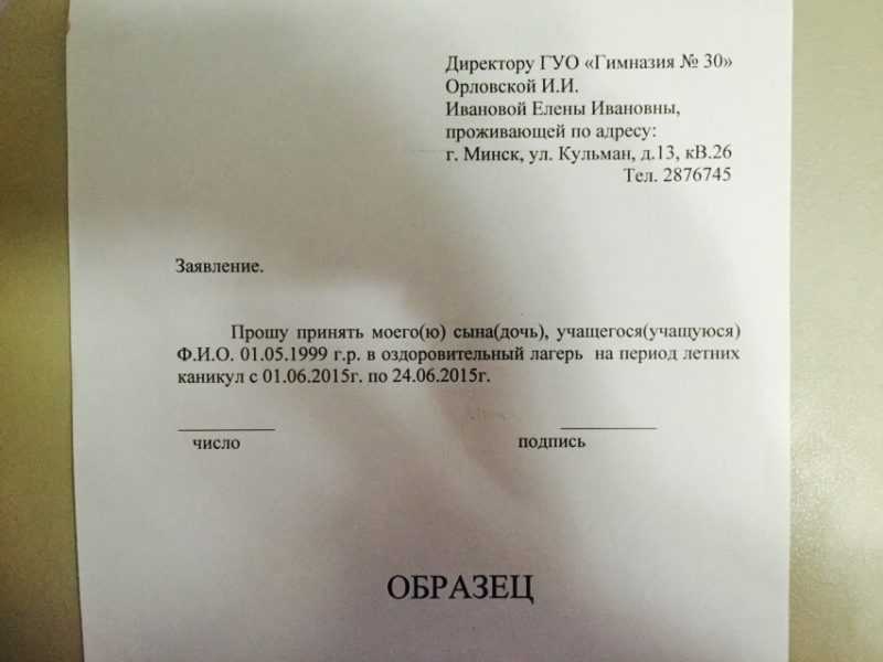 Образец заявление в школьный лагерь образец