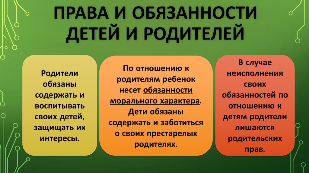 Составьте схему права и обязанности родителей по образованию детей