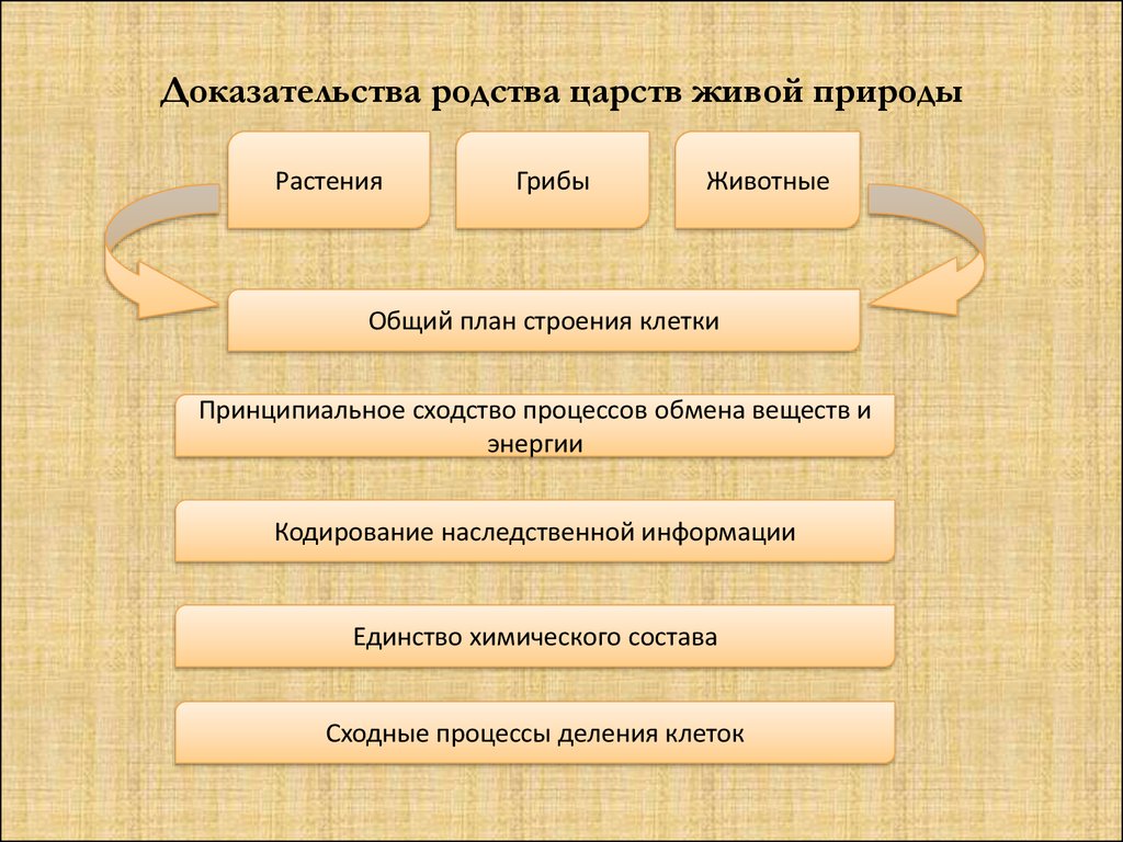 Доказательство родства с животными