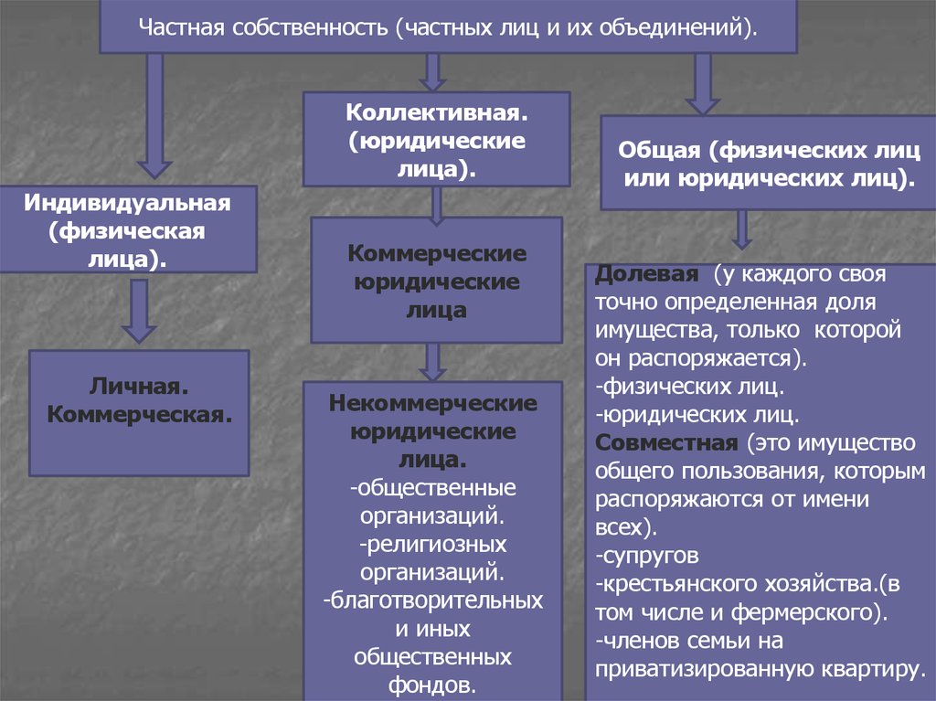 Все фото являются собственностью