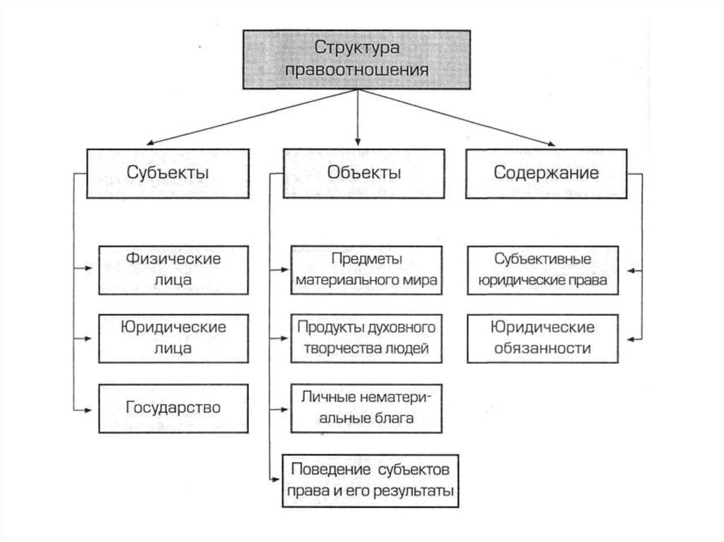 Виды налоговых правоотношений схема