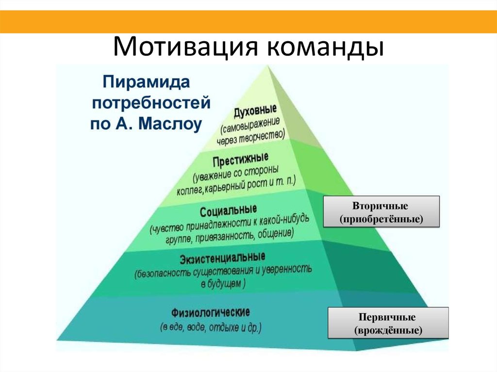 Пирамида абрахама маслоу