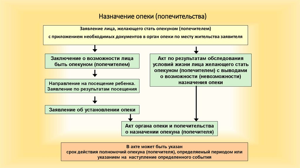 Опека и попечительство схема