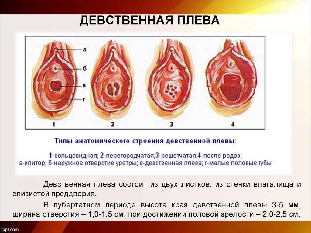 Лишение невинности крупным планом