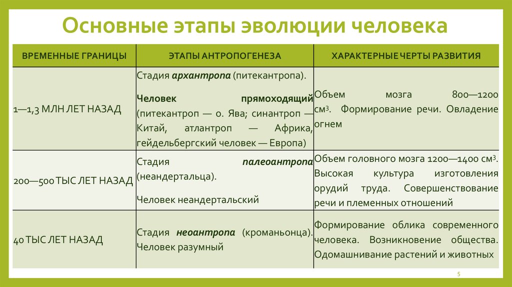 Чем выражается эволюционный характер общества. Происхождение и Эволюция человека презентация. Этапы эволюции человека. Вывод к таблице этапы эволюции человека. Основные перспективы эволюции человека.