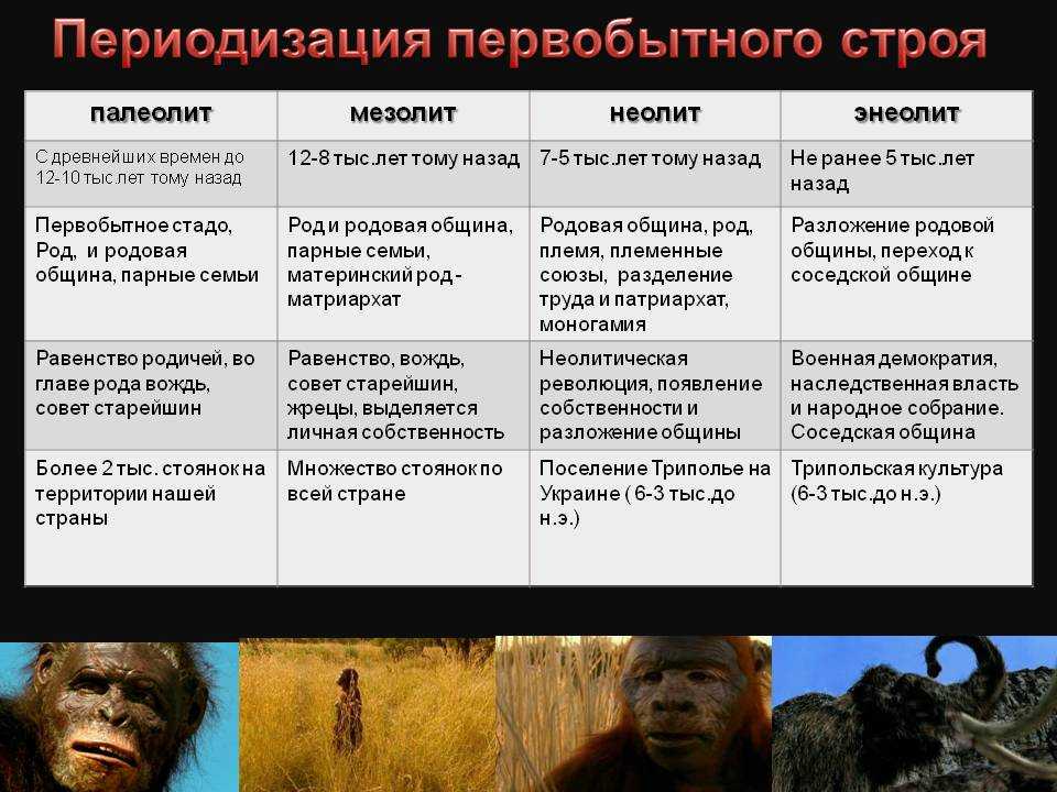 Современный этап развития человечества человеческие расы опасность расизма проект