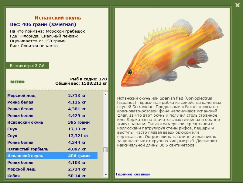 Максимальный вес рыб. Максимальный вес окуня. Окунь максимальная длина. Максимальный вес рыбы окунь. Испанский окунь.