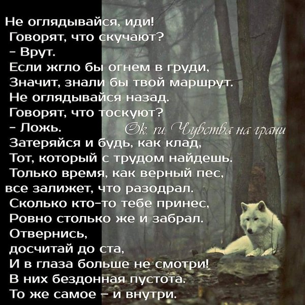 Не оглядывайся назад цитаты. Стихи не оглядывайся назад. Обернувшись назад цитаты. Не оглядывайся назад иди только вперед.