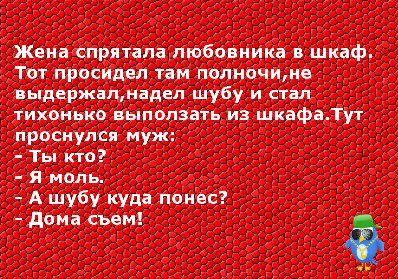 Как завести любовника. Анекдот про моль и шубу. Анекдот про моль и шубу дома доем. Ты кто моль а куда шубу понес. Ты куда шубу понес кто.