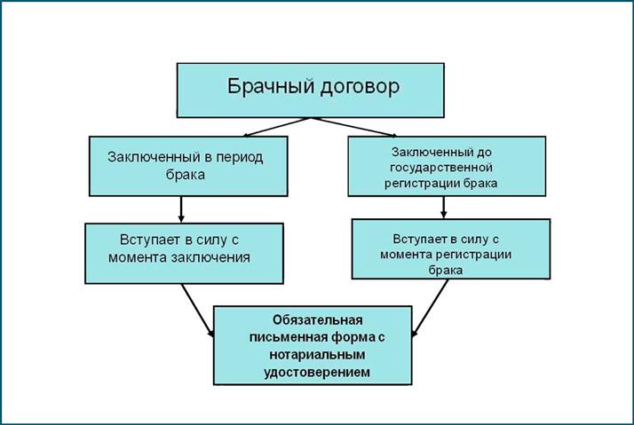 Брачный договор схема - 85 фото