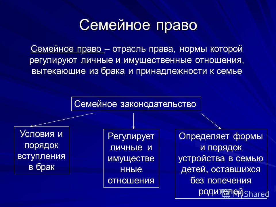 Семейное право проект