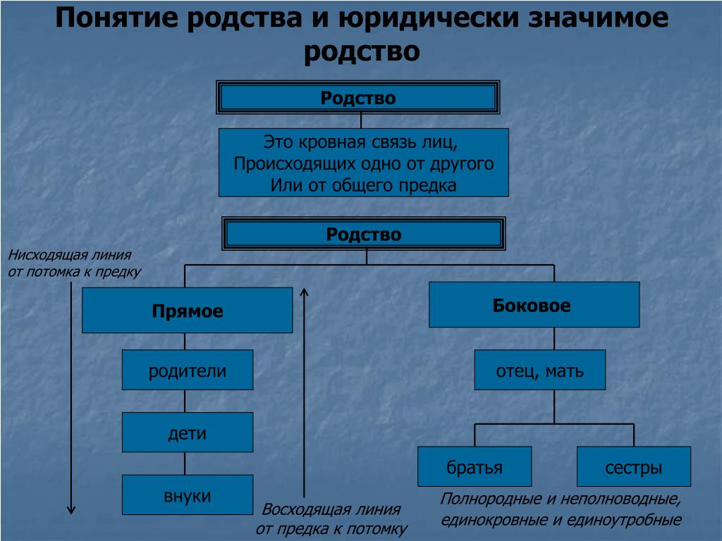 Распределите пары фотографий животных по принципу родственники или не родственники