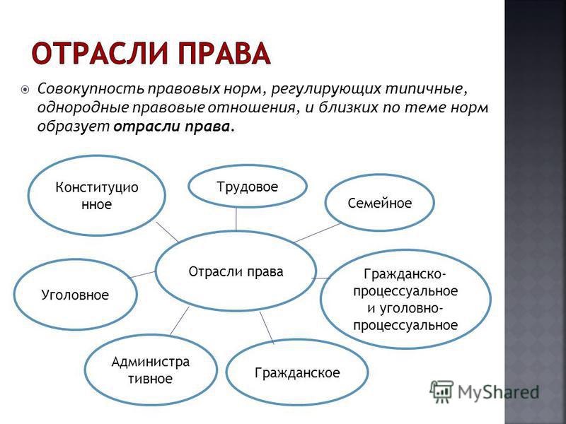 Отрасли права картинки