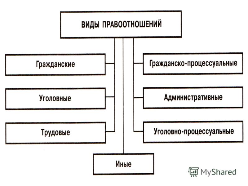 Поняв какой вид