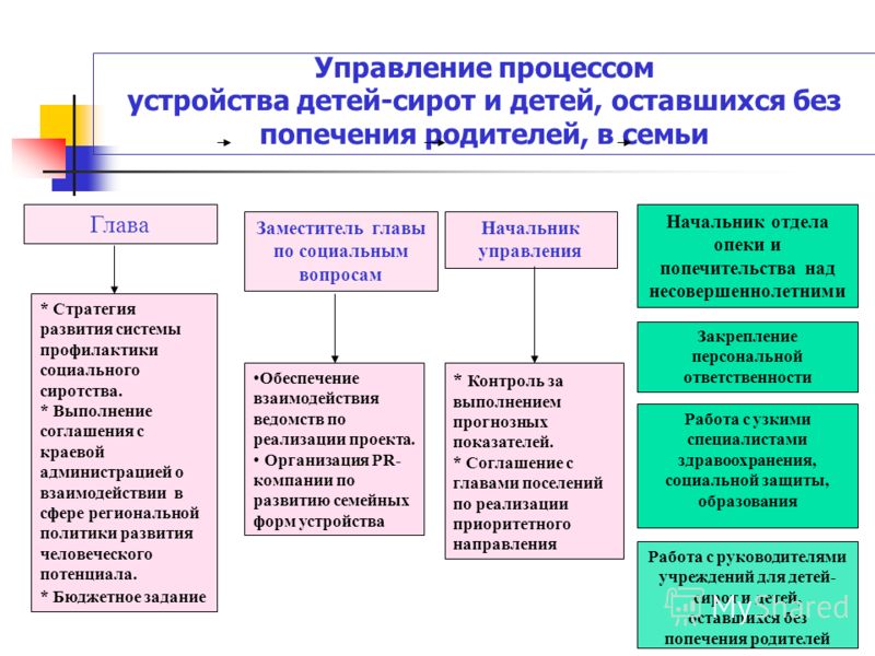 Схему раскрывающую формы семейного попечения и государственного попечения детей сирот