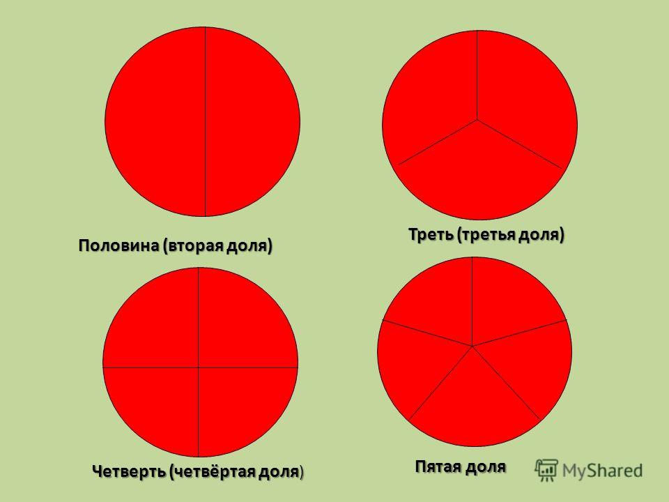 В доле ру. Круг поделенный на доли. Доли половина треть четверть. Круг на 4 части. Деление круга на доли.