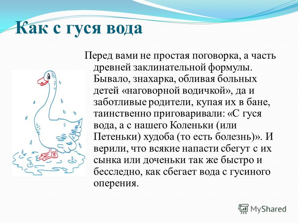 Выводить на воду фразеологизм. Как с гуся вода фразеологизм. Как с гуся вода. Как с гуся вода значение фразеологизма. Пословица с гуся вода.