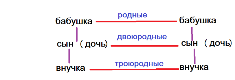 Двоюродный брат. Сын двоюродной сестры бабушки кто мне. Сестра бабушки кто мне приходится. Кем приходится сестра бабушки внуку. Внучка родной сестры бабушки кем приходится.