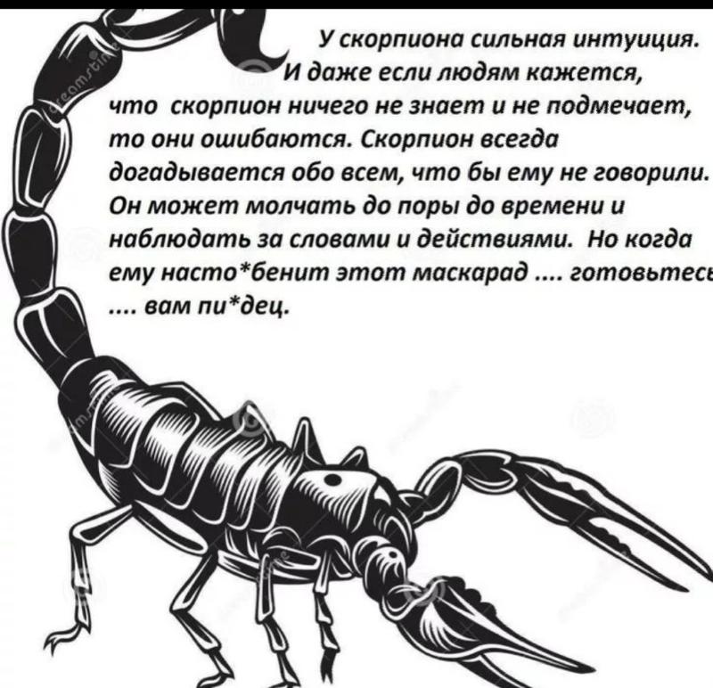 Никто не верит в гороскопы до первого скорпиона в своей жизни картинка