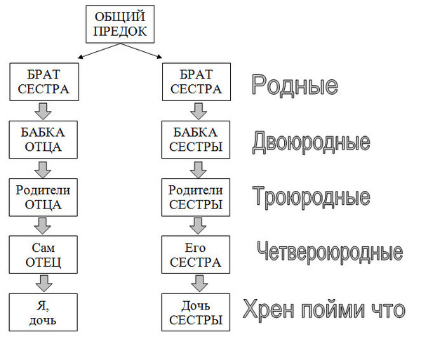 Кто такой троюродный брат схема