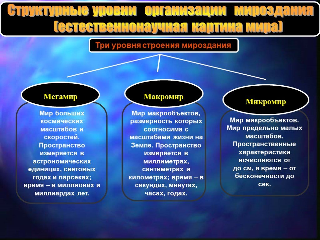 Развитие является главным принципом картины мироздания