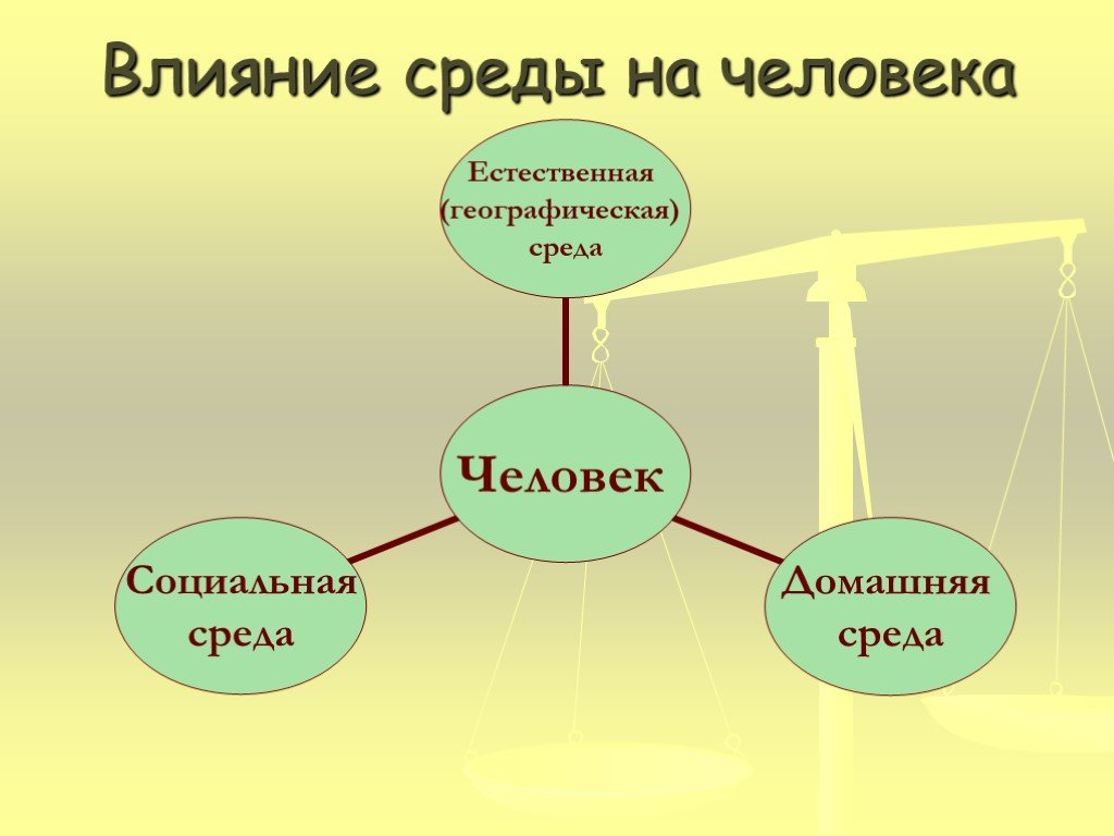 Почему общество влияет на человека