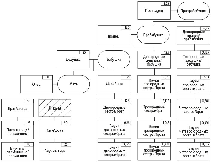 Родственники кто кому кем приходится схема на русском