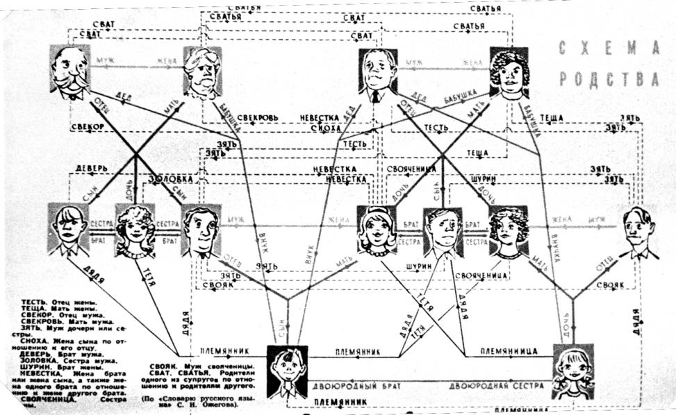 Родственники кто кому кем приходится схема на русском