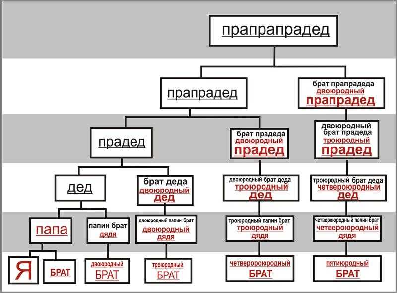 Определение родства по фотографии онлайн бесплатно без регистрации