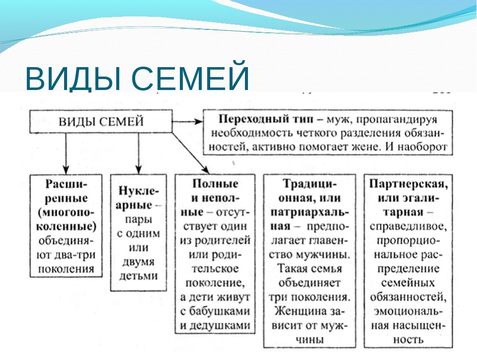 Схема виды семей обществознание 6 класс