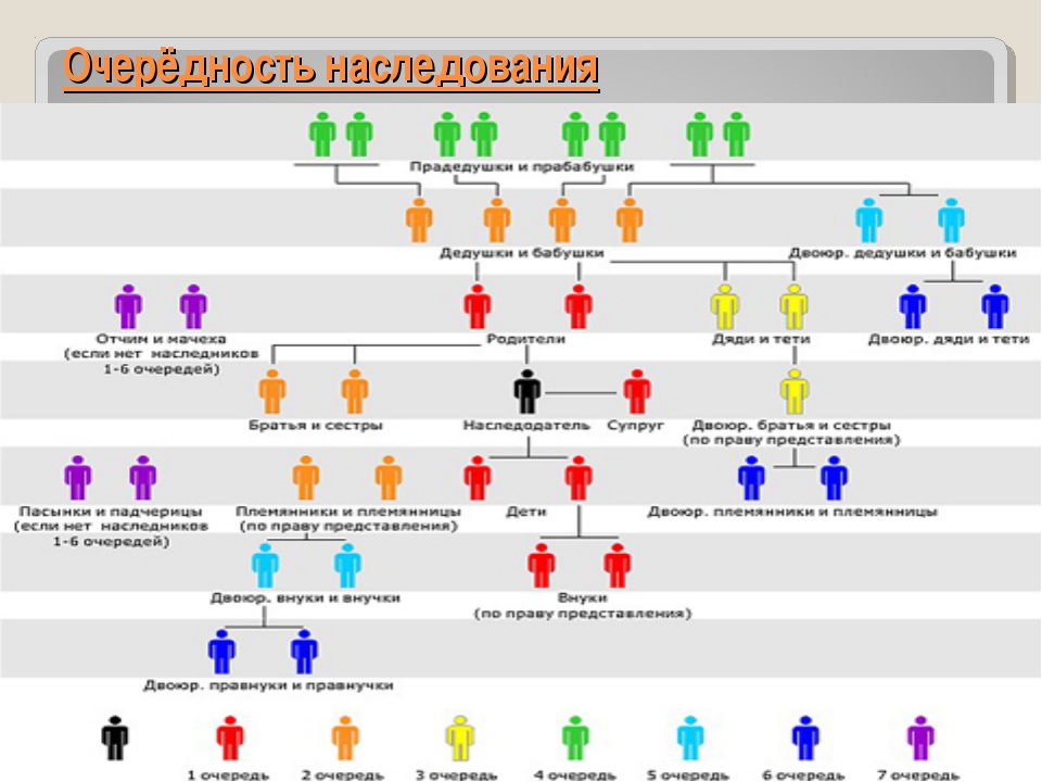 Как распределяется наследство без завещания между родственниками схема 1 очереди