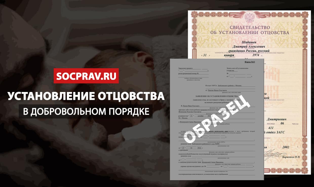 Свидетельство об установлении отцовства фото