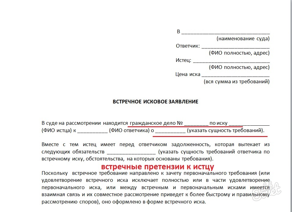 Образец иска. Письменная позиция по гражданскому делу образец. Встречная претензия. Позиция истца по делу образец. Встречные требования к истцу.