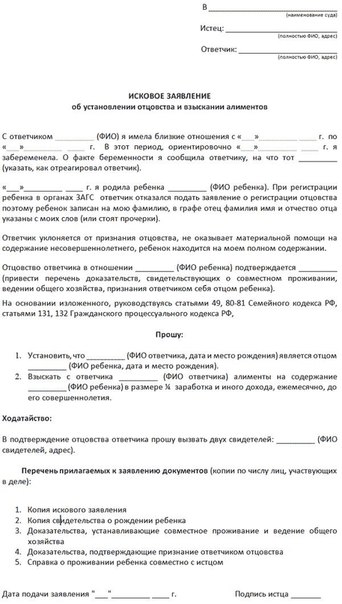 Исковое заявление в суд на установление отцовства и алименты образец