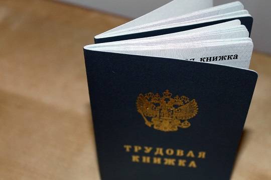 В 2020 году в России появятся электронные трудовые книжки