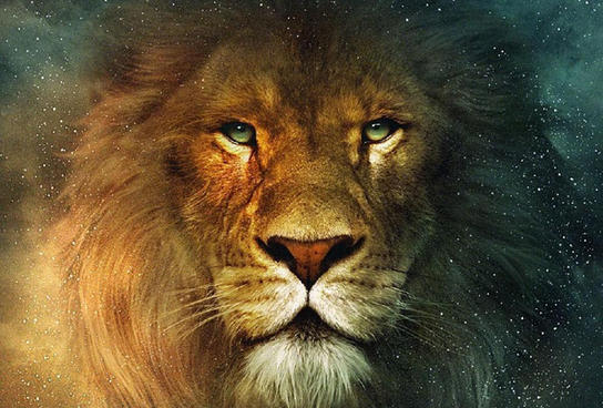 Как завоевать и влюбить в себя мужчину льва