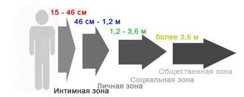 наука проксемика